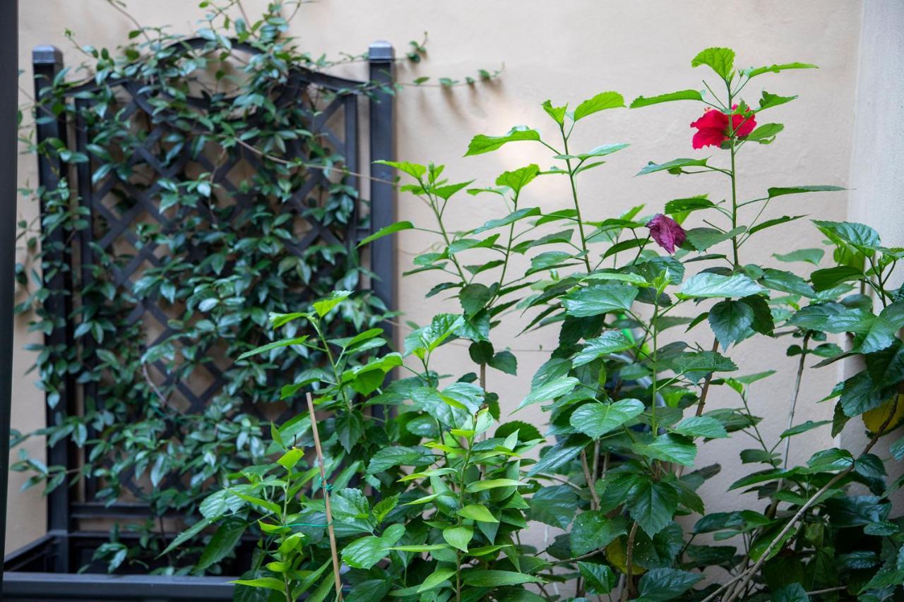 B&B I Propilei Di San Girolamo Rimini Exterior photo